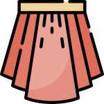 Жіночі спідниці