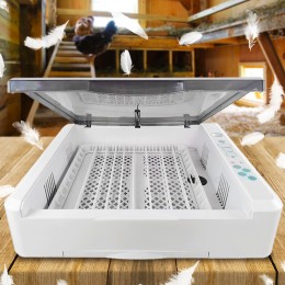 Автоматичний інкубатор на 36 яєць HHD (220 В) для курячих, качиних та індичих яєць.