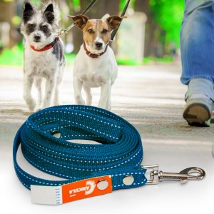 Універсальний повідець із капрону для собак з карабіном для кріплення 25 мм - 3 м, Синій (2021) Універсальний повідець із капрону для собак з карабіном для кріплення 25 мм - 3 м, Синій (2021)