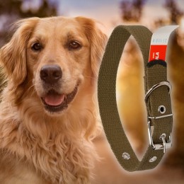 Міцний брезентовий нашийник для собак 40 мм - довжина 62 см, одинарний (2021)