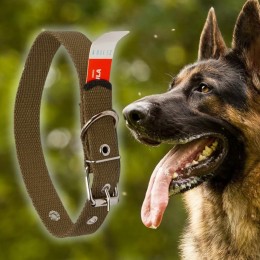 Міцний брезентовий нашийник для собак 45 мм - довжина 68 см, одинарний (2021)