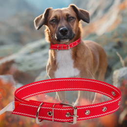 Ошейник капроновый для собак №129 одинарный 35 мм - длина 58 см, Красный (2021)