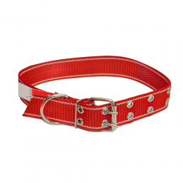Ошейник капроновый для собак №131 одинарный 45 мм - длина 66 см, Красный (2021)