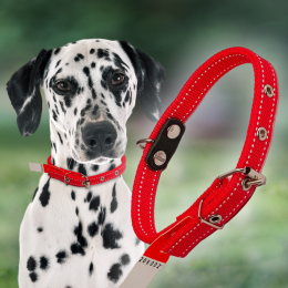 Ошейник капроновый для собак №133 двойной 25 мм - длина 47 см, Красный (2021)