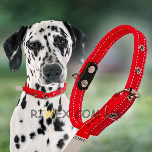 Ошейник капроновый для собак №133 двойной 25 мм - длина 47 см, Красный (2021)