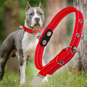 Ошейник капроновый для собак №135 двойной 35 мм - длина 64 см, Красный (2021)