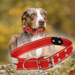 Ошейник капроновый для собак №137 двойной 45 мм - длина 81 см, Красный (2021)