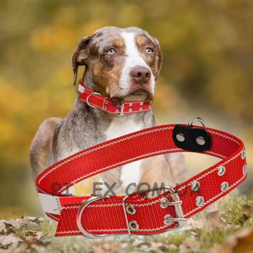 Ошейник капроновый для собак №137 двойной 45 мм - длина 81 см, Красный (2021)