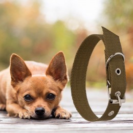 Ошейник брезентовый для собак Эконом №42 одинарный 20 мм - длина 35 см (2021)
