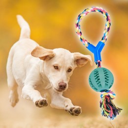 Игрушка тренировочная канатная с мячем для собак