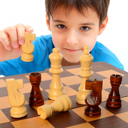 Деревянные шахматы D5 (IGR24)