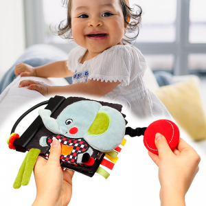 Развивающая игрушечная книжечка (C-More) BabyOno 779 (SB)