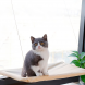 Лежанка-гамак для котів (з присосками на вікно)