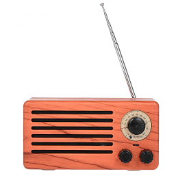 Бездротова портативна радіо-колонка Bluetooth FM NR-3013