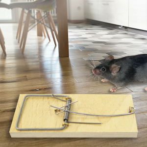 Дерев'яна мишоловка, мала, від мишей та дрібних гризунів (2020) Дерев'яна мишоловка, мала, від мишей та дрібних гризунів (2020)