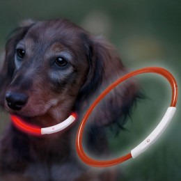Ошейник с подсветкой для собак с USB-зарядкой S(35 см), Красный (205)