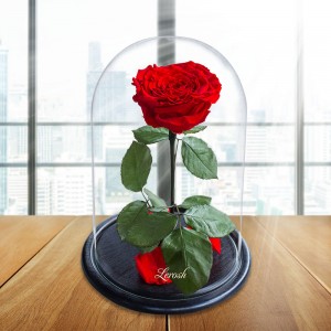 Троянда в колбі з LED підсвічуванням червона, велика (212)