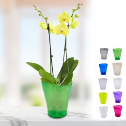 Вазон Ніка для орхідей прозорий 13 x 15,5 см, 1л, кольори в ассортименті (DRK)