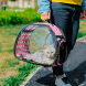 Прозора сумка Lollimeow для перенесення домашніх тварин рожева