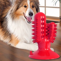 Игрушка для собак Кактус Bronzedog PetFun Dental на присоске для гигиены зубов и активной игры, Красный (205)