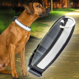 Нашийник для собак, що світиться, на акумуляторі з usb зарядкою USB GLOW RING, Білий S (205)