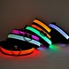Светящийся ошейник для собак на аккумуляторе с usb зарядкой USB GLOW RING, Белый S (205)