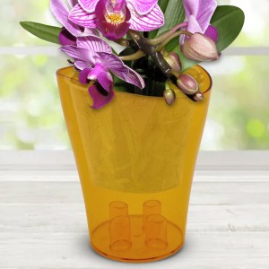 Вазон Ніка з прозорими стінками та хвилястим верхом 13х13,5 см, Бежевий (2469) Вазон Ніка з прозорими стінками та хвилястим верхом 13х13,5 см, Бежевий (2469)