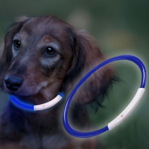 Нашийник з підсвічуванням для собак з USB-зарядкою S(35 см), Синій (205)