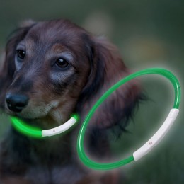 Нашийник з підсвічуванням для собак з USB-зарядкою S(35 см), Зелений (205)