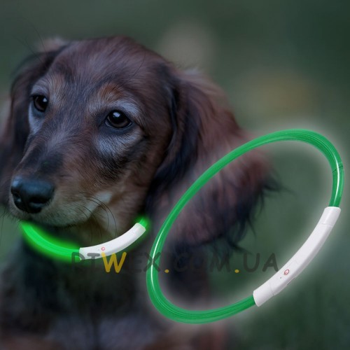 Ошейник с подсветкой для собак с USB-зарядкой S(35 см), Зеленый (205)