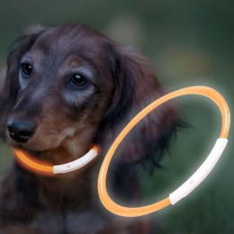 Ошейник с подсветкой для собак с USB-зарядкой S(35 см), Оранжевый (205)