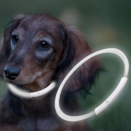 Ошейник с подсветкой для собак с USB-зарядкой M (50 см), Белый (205)