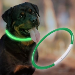 Нашийник з підсвічуванням для собак з USB-зарядкою L(70 см), Зелений (205)