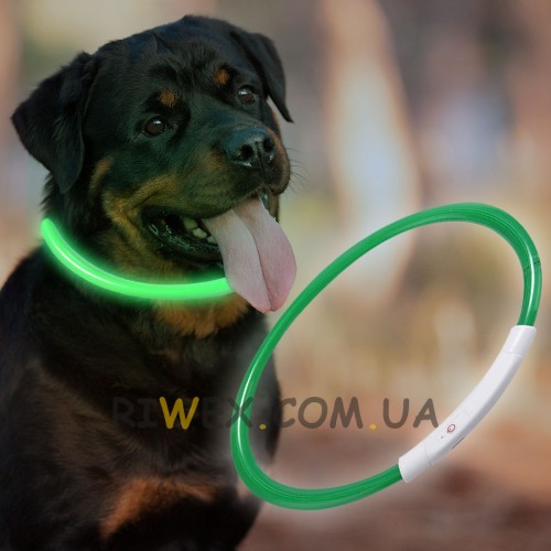 Ошейник с подсветкой для собак с USB-зарядкой L(70 см), Зеленый (205)