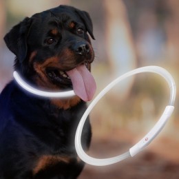 Ошейник с подсветкой для собак с USB-зарядкой L(70 см), Белый (205)