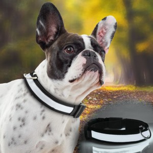 Ошейник для собак GLOW RING с USB зарядкой и светодиодной LED подсветкой, размер M, Белый (205)