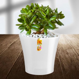 Горшок с автополивом ARTE 12.5х13.5 см, 1,2 л, Прозрачный (2469) Горшок с автополивом ARTE 12.5х13.5 см, 1,2 л, Прозрачный (2469)