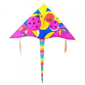 Воздушный змей Божья коровка M 2980 с хвостом, ширина 160 см (I24) Воздушный змей Божья коровка M 2980 с хвостом, ширина 160 см (I24)