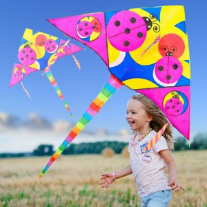 Воздушный змей Божья коровка M 2980 с хвостом, ширина 160 см (I24) Воздушный змей Божья коровка M 2980 с хвостом, ширина 160 см (I24)