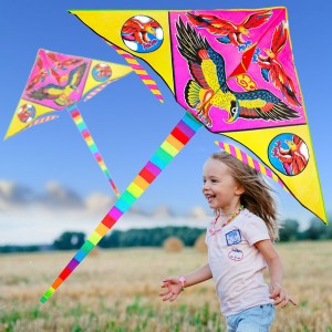 Повітряний змій Птахи M 2980 з хвостом, ширина 160 см (I24)