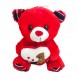М'яка іграшка ведмедик Тедді з сердечком зі світловими та звуковими ефектами 22 см, Червоний