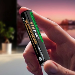 Батарейка солевая FlyCat WANSHIDAR R03 1,5V AAA, 1 шт (АП)