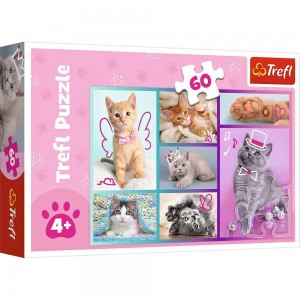 Пазлы Trefl 17373 Милые котики, 60 элм. (SB)