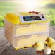 Інкубатор автоматичний YZ-96 на 96 яєць HHD для домашньої інкубації, Жовтий (AN)