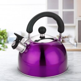 Чайник зі свистком Edenberg EB-1343 з нержавіючої сталі 1.2 л, Фіолетовий (EB)