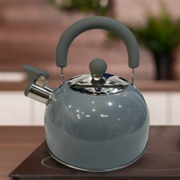 Чайник із свистком Benson BN-718 із нержавіючої сталі 2 л, Сірий (BN)