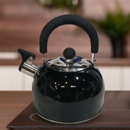 Чайник із свистком Benson BN-718 із нержавіючої сталі 2 л, Чорний (BN)