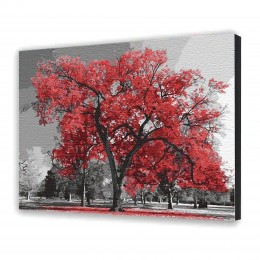 Картина-раскраска по номерам с рамкой краски, кисточки в комплекте  "Канадский ясень" 10523-AC 40 х 50 см (SD)