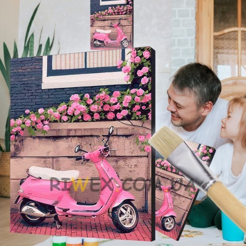 Картина-раскраска по номерам с рамкой краски, кисточки в комплекте "Город роз" 10530-AC 40 х 50 см (SD)