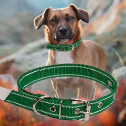 Ошейник капроновый для собак №129 одинарный 35 мм - длина 58 см, Зеленый (2021)